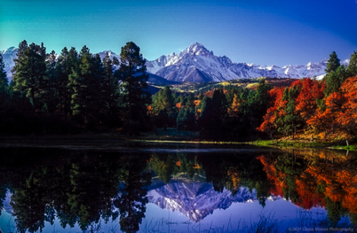 Pond Reflection.jpg